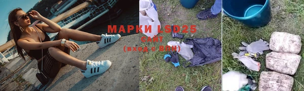 ALPHA PVP Беломорск